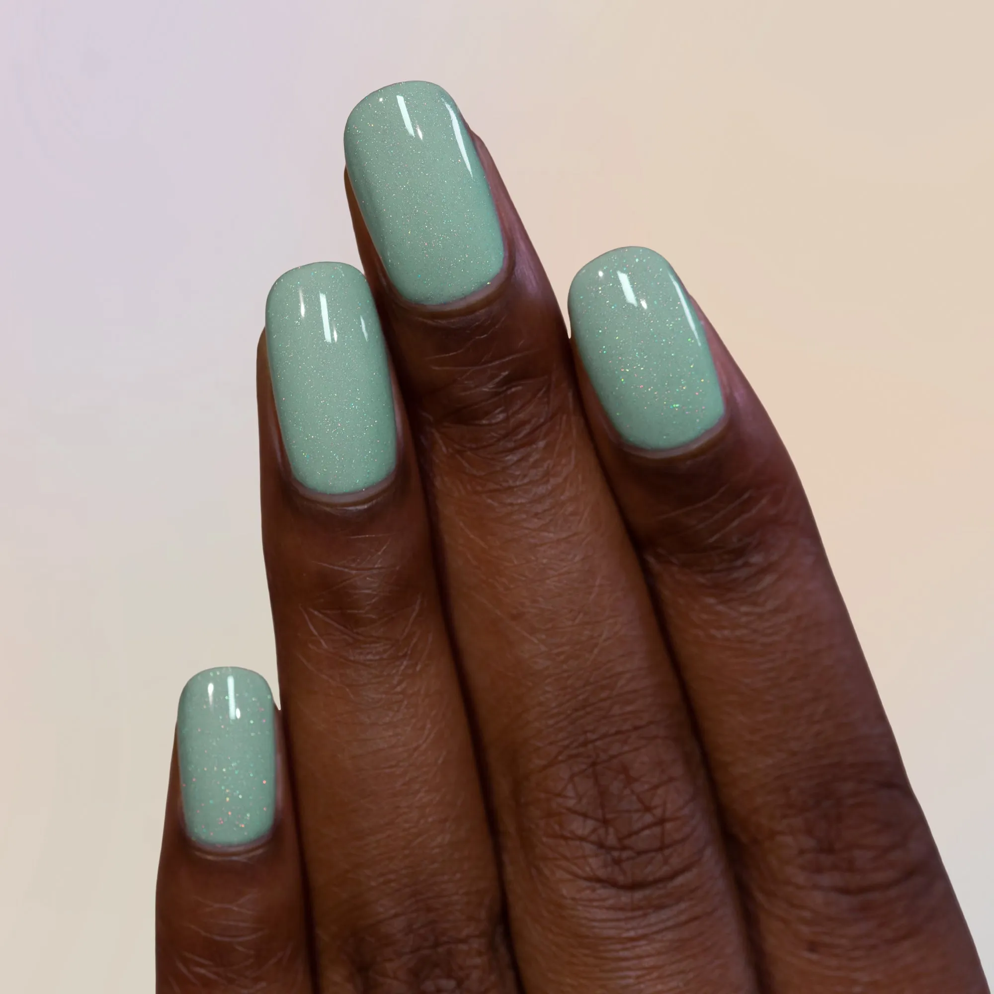 ILNP - Dollhouse
