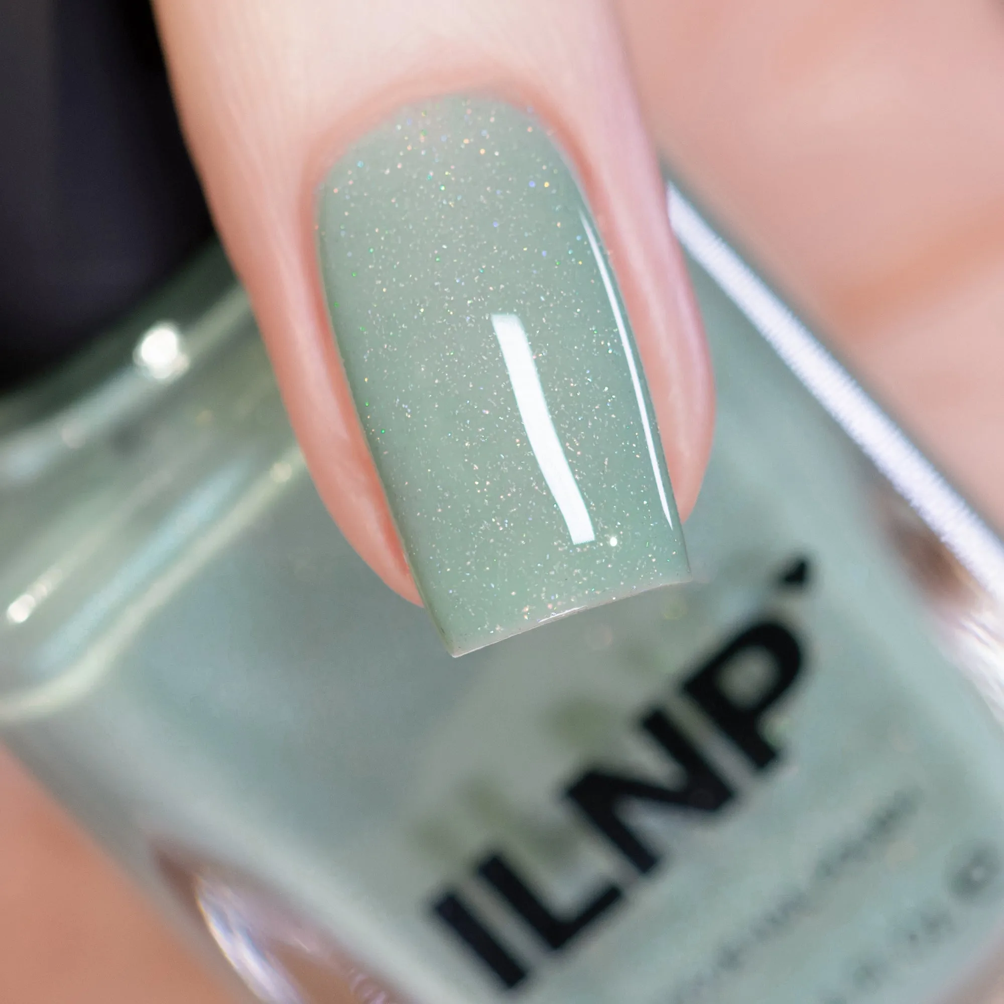 ILNP - Dollhouse