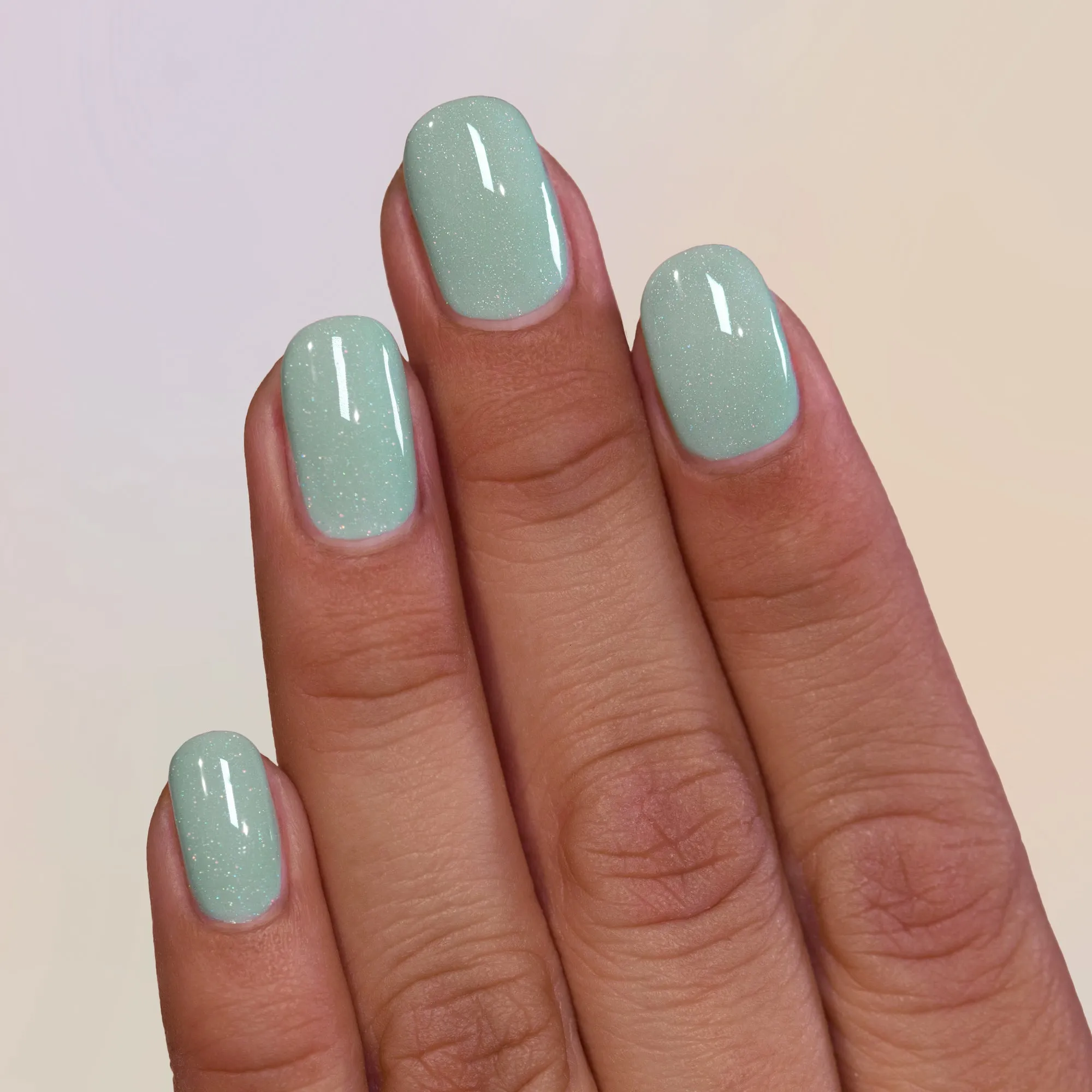 ILNP - Dollhouse